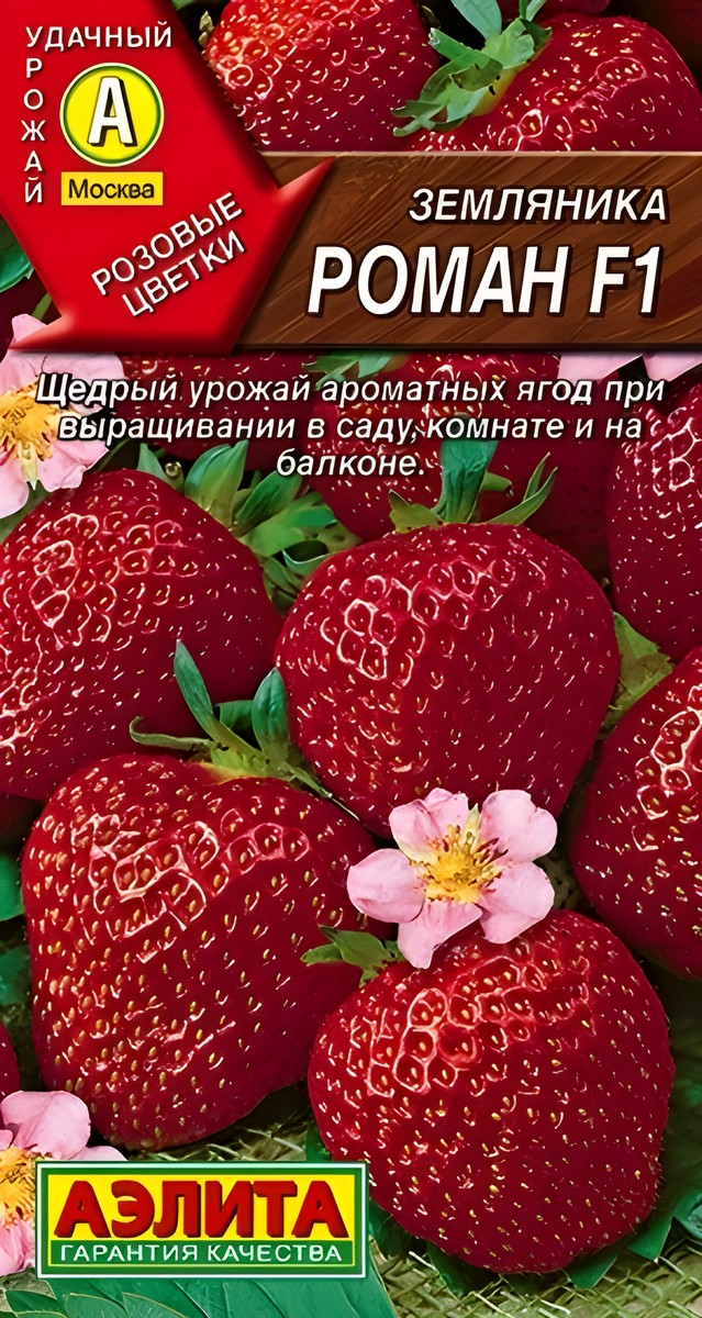 Земляника крупноплодная Роман F1, 5 шт.