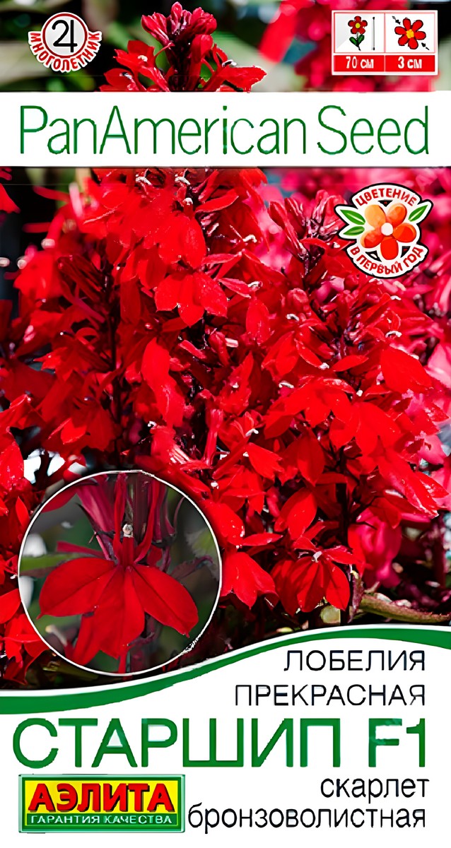 Лобелия Старшип F1 Скарлет бронзоволистная, 5 шт.