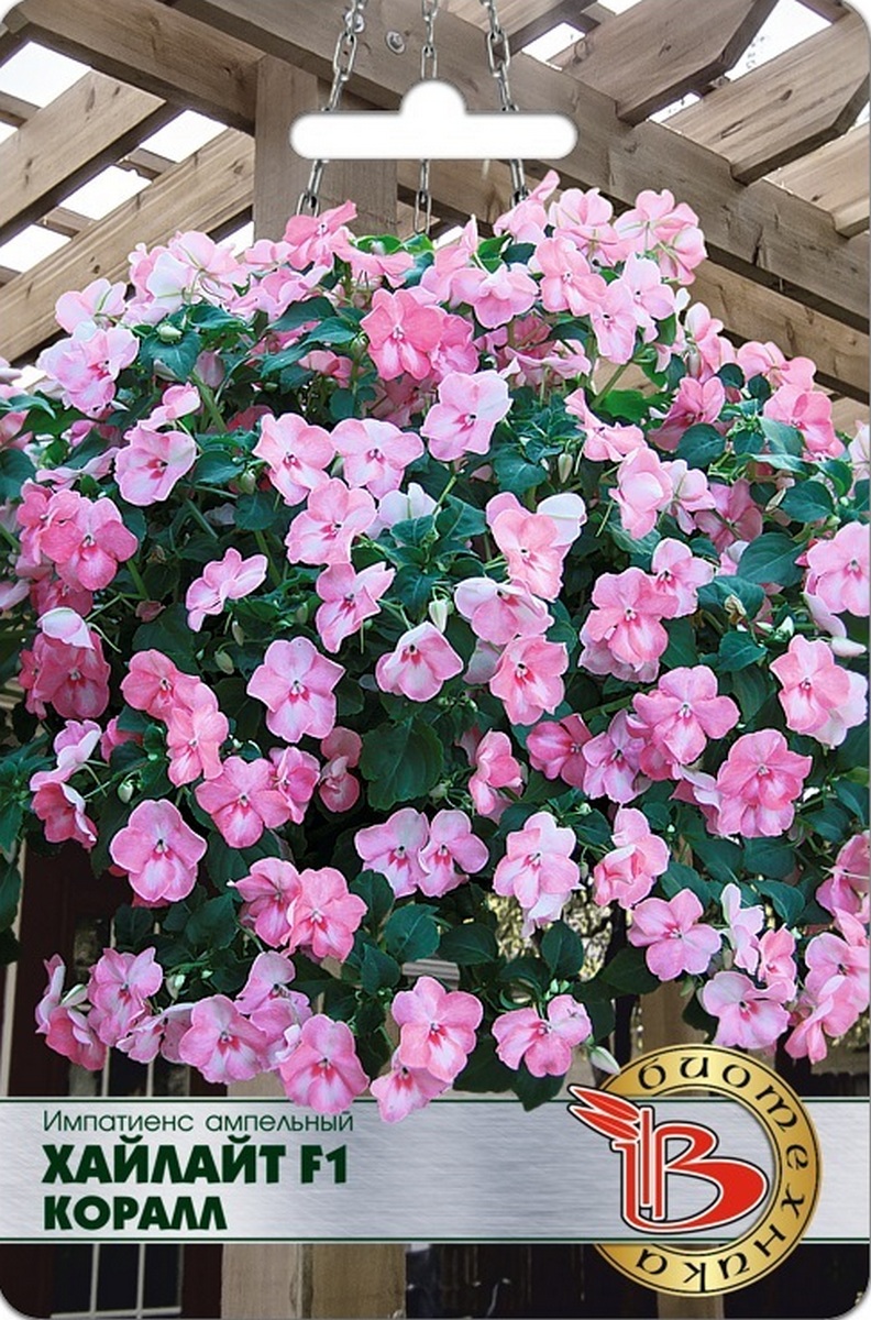 Импатиенс ампельный Хайлайт F1 Коралл, 8 шт. Биотехника