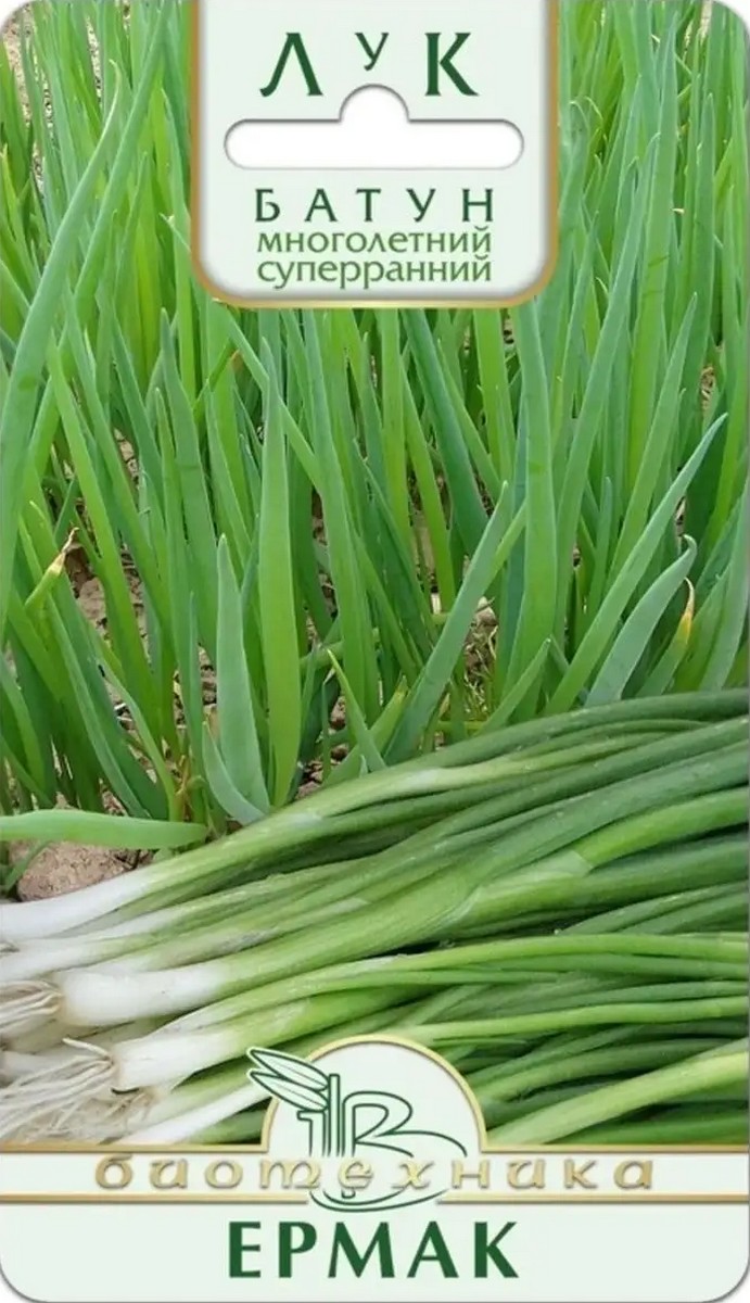 Лук-батун Ермак, 0,5 г Биотехника