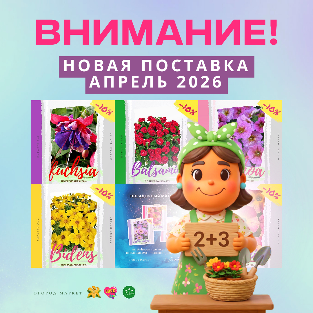 Новое поступление еврочеренков Новое поступление еврочеренков