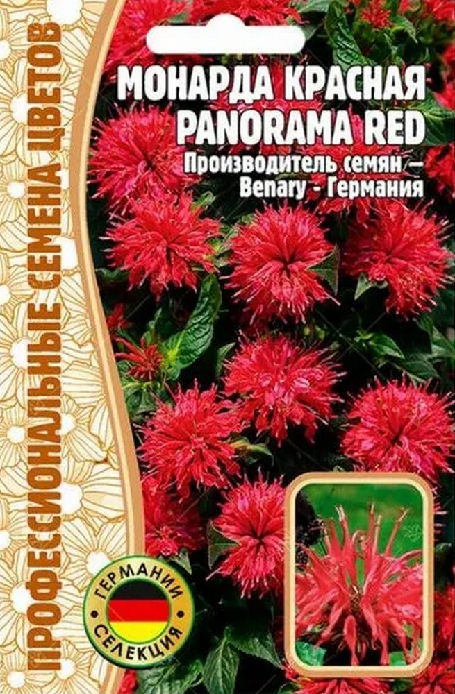 Монарда красная Panorama Red (Панорама Красный), 5 шт.