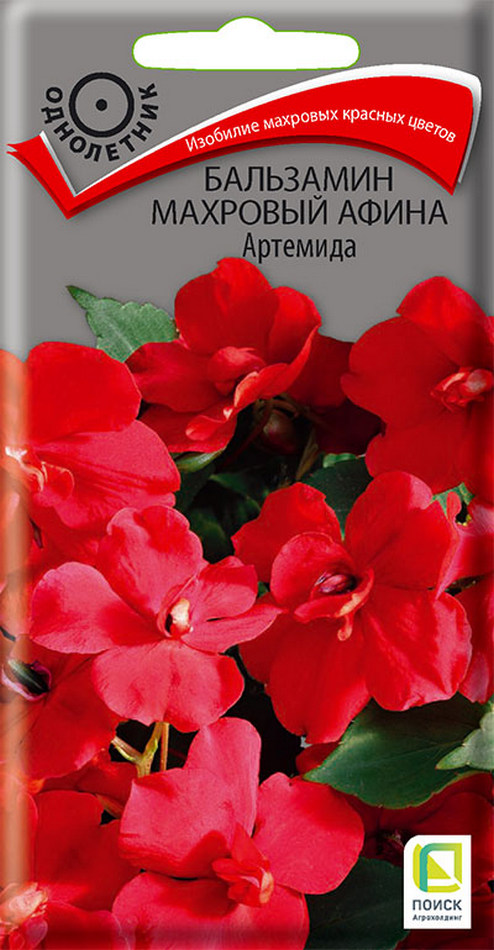 Бальзамин махровый Афина Артемида, 5 шт.