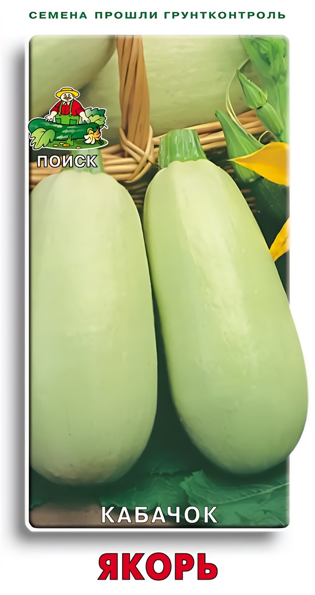 Кабачок Якорь, 12 шт.