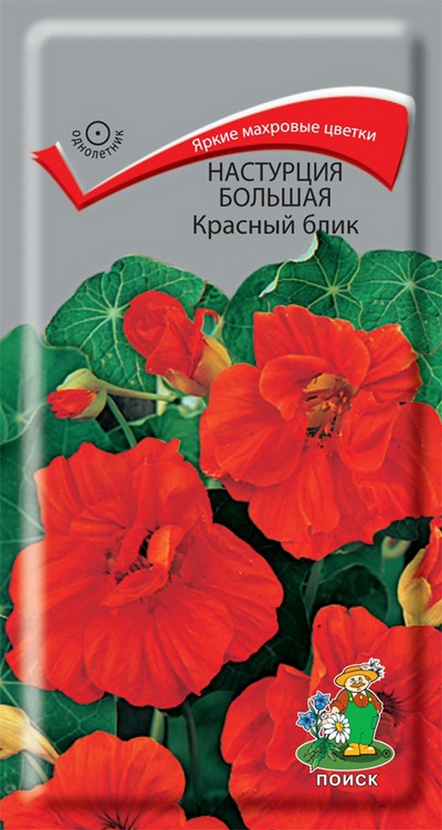 Настурция большая Красный блик, 1 г