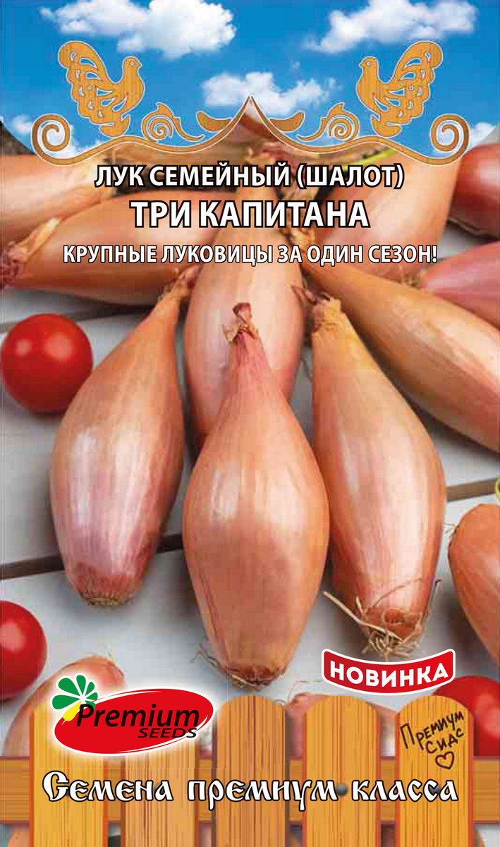 Лук шалот, семейный, Три капитана, 0,1 г