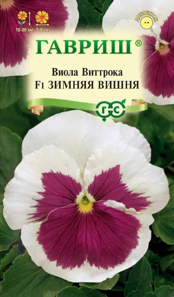 Виола Зимняя вишня F1, 5 шт.