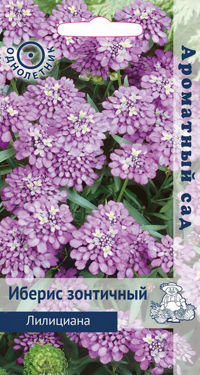 Иберис зонтичный Лилициана, 0,3 г Ароматный сад