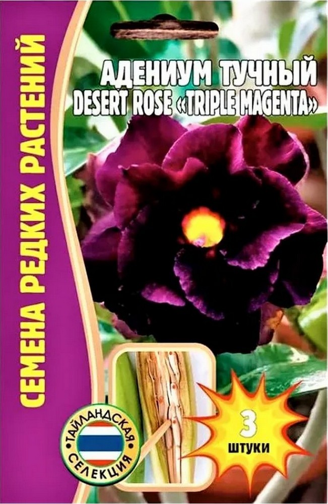 Адениум Triple Magenta Desert Rose (Тройной пурпурный цвет Пустынная роза), 3 шт.