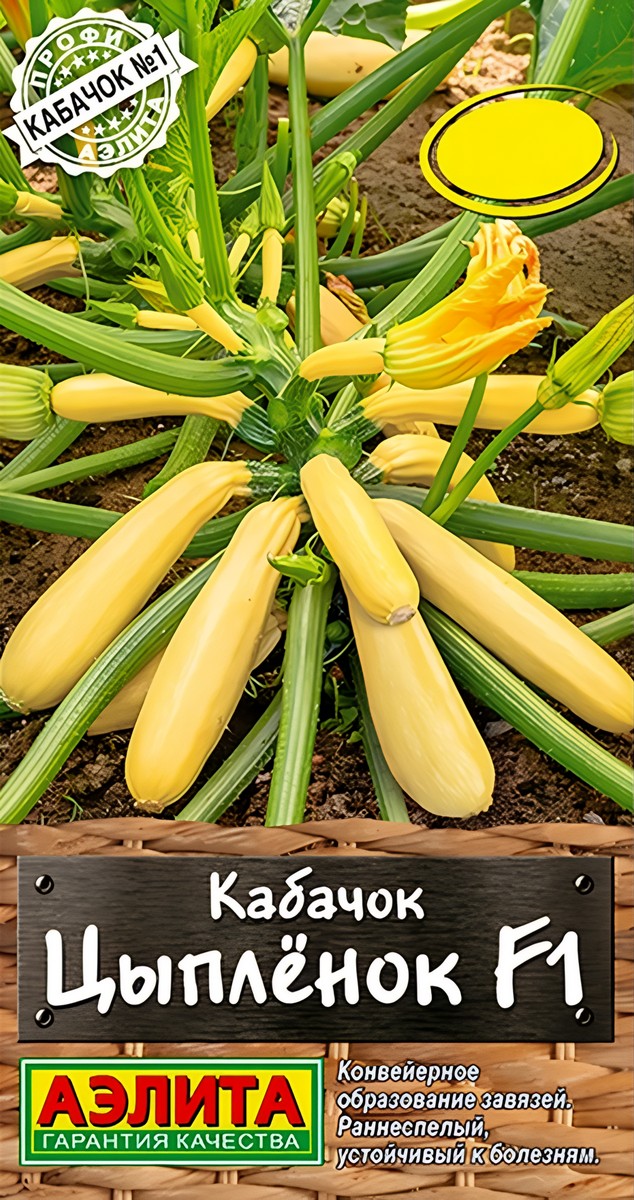 Кабачок цуккини Цыпленок F1, 5 шт. 