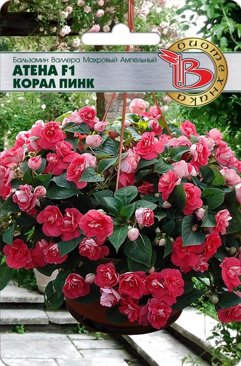 Бальзамин Валлера махровый ампельный Атена F1 Корал пинк, 8 шт. Биотехника