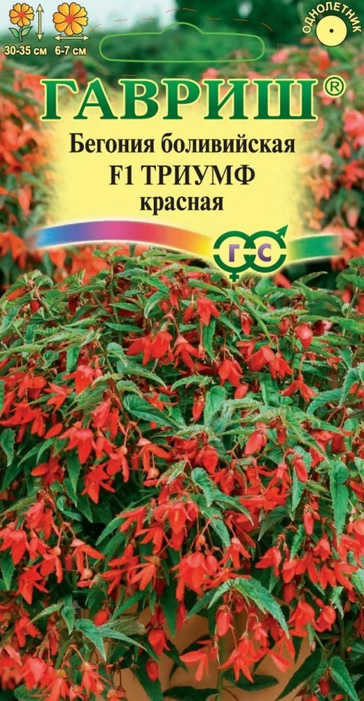 Бегония боливийская Триумф красная F1, 5шт. 