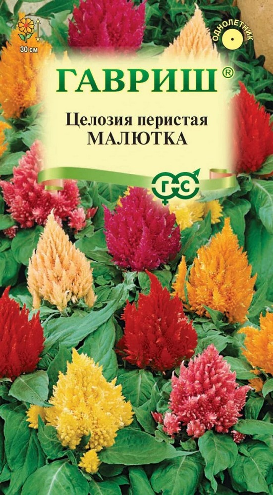 Целозия перистая Малютка, смесь, 0,01 г