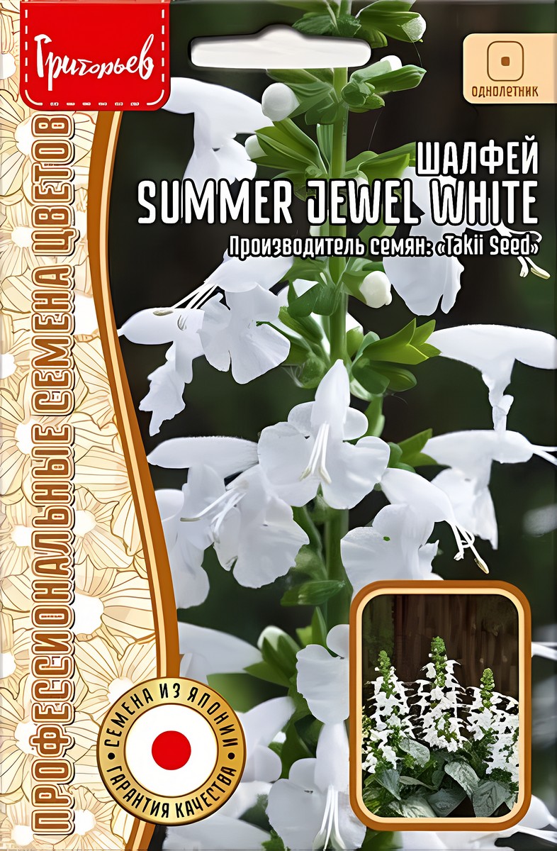 Шалфей Summer Jewel White, 5 шт.