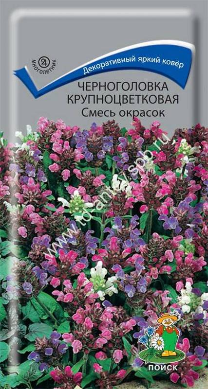 Черноголовка крупноцветковая Смесь окрасок, 25 шт.