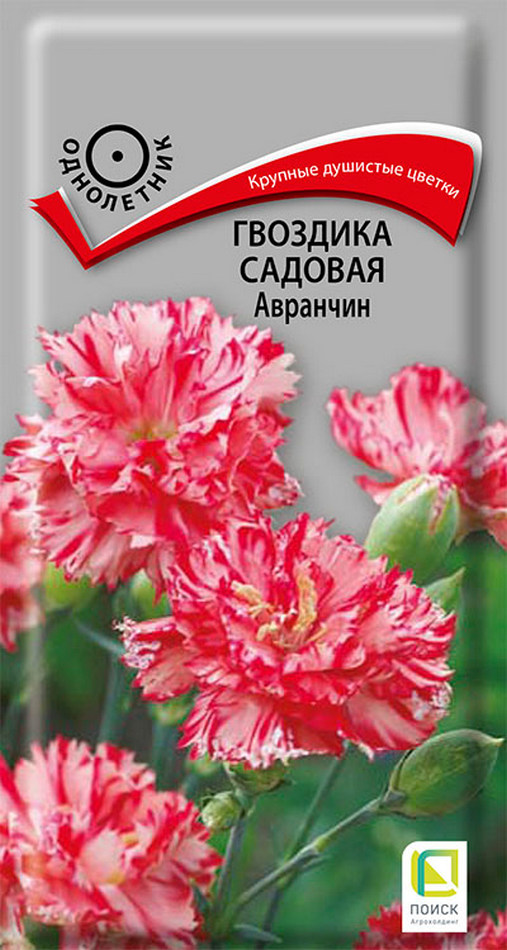 Гвоздика садовая Авранчин, 0,1 г