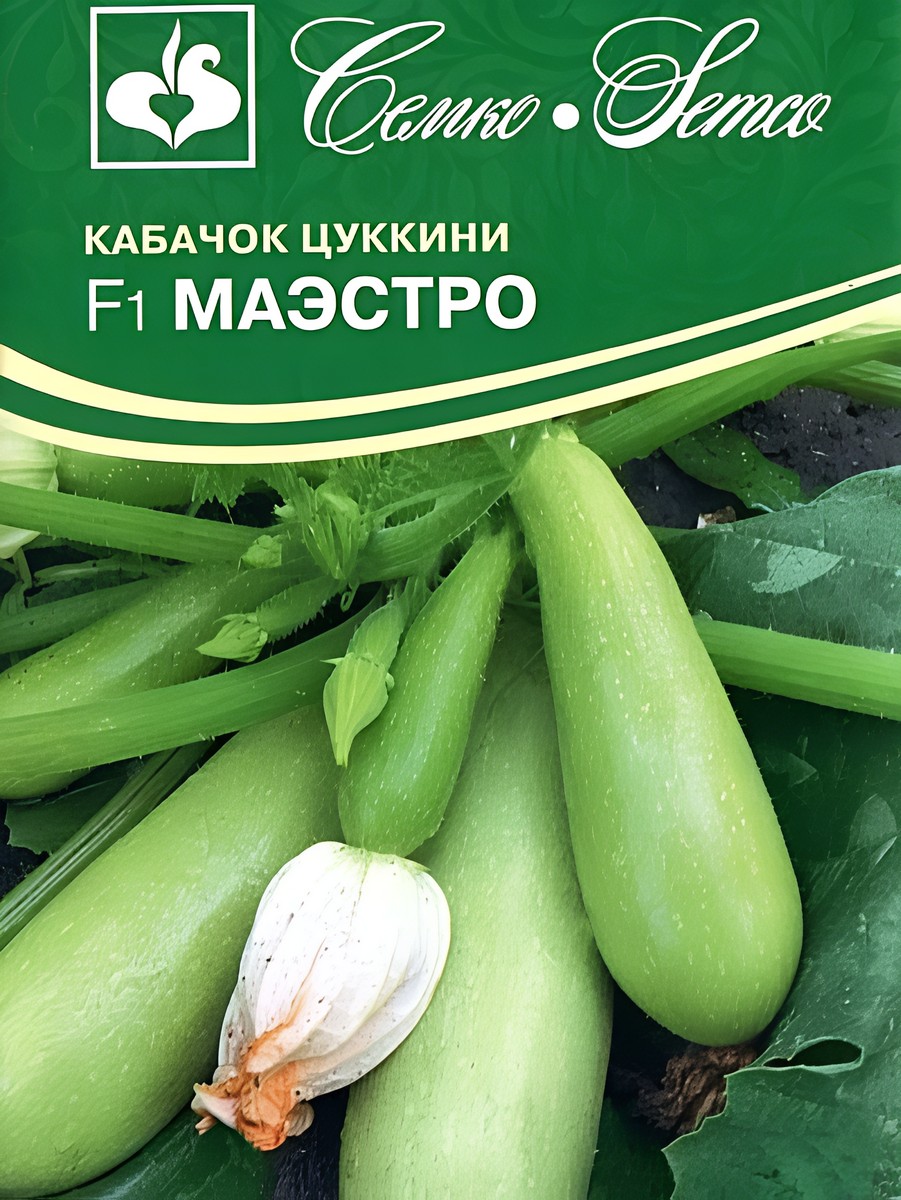 Кабачок цуккини Маэстро F1, 10 шт. Семко.