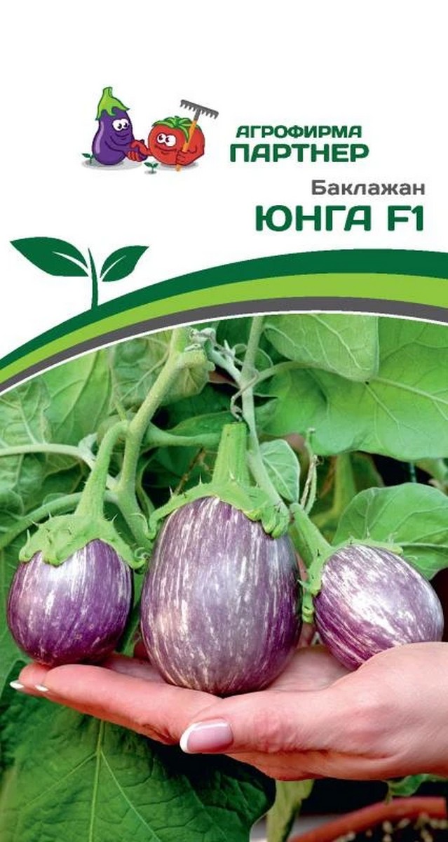 Баклажан Юнга F1, 10 шт.