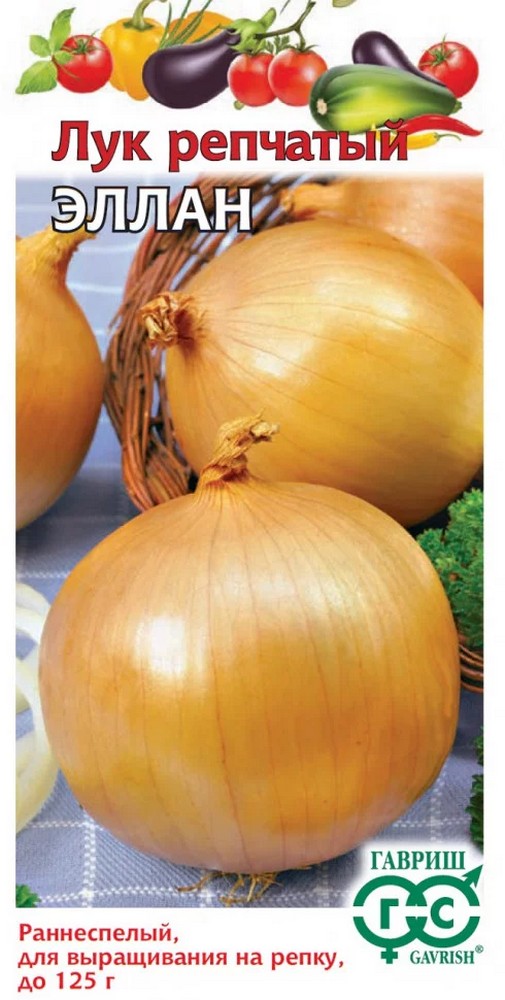 Лук репчатый Эллан, 1 г