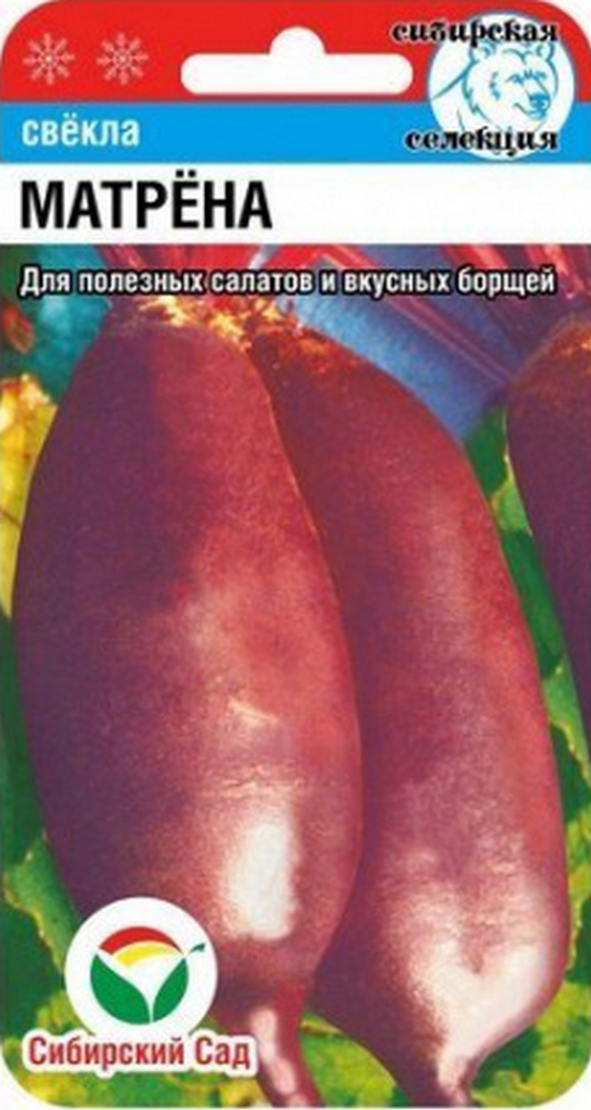 Свекла Матрена, 2 г. Сибирский сад