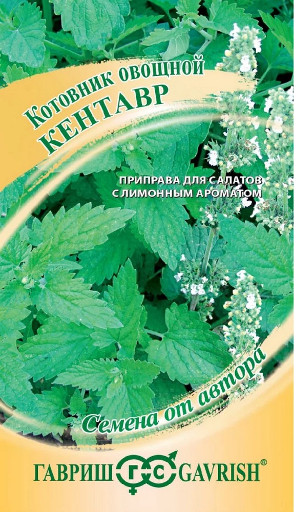 Котовник Кентавр, 0,1 г. Авторские семена.