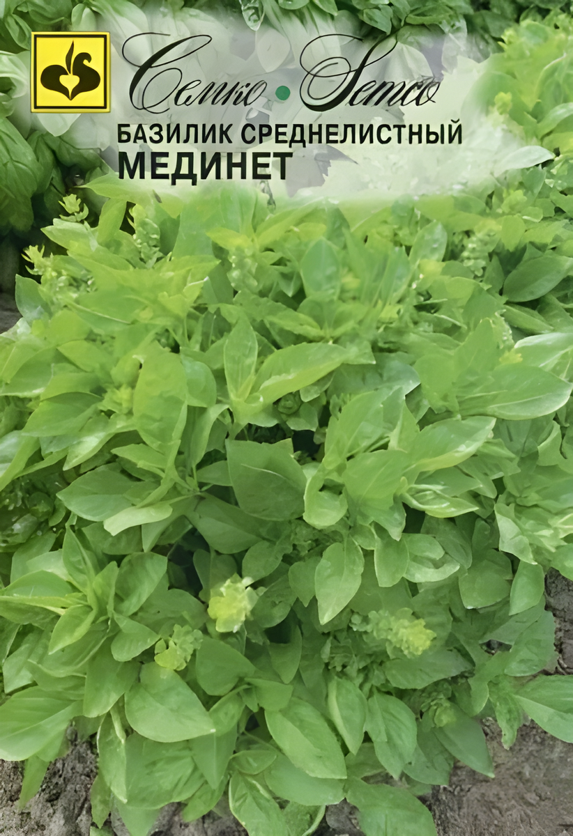 Базилик Мединет среднелистный, 1 г