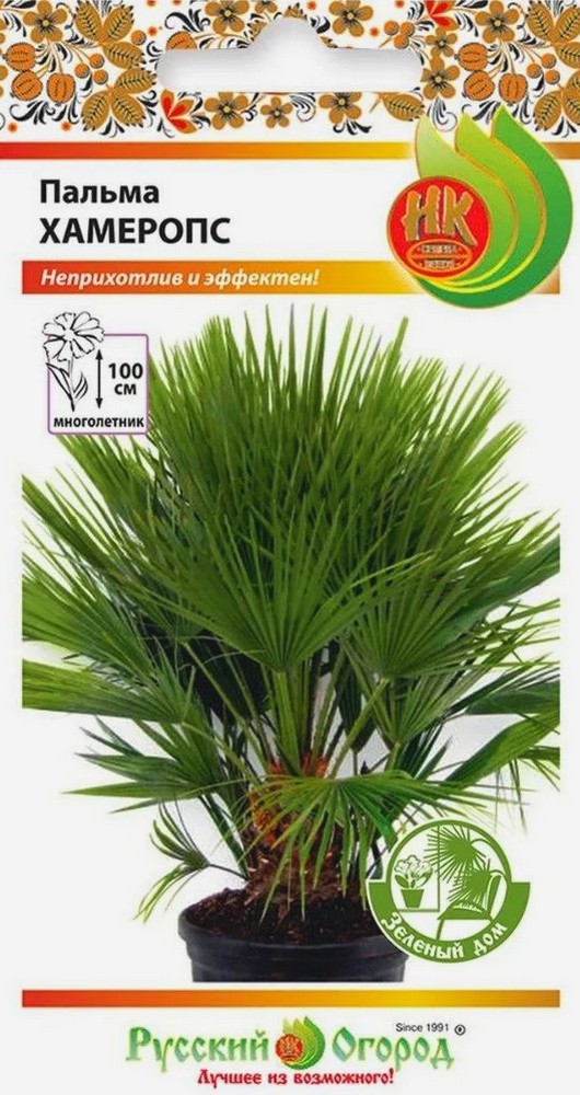 Пальма Хамеропс, 2 шт. Зеленый дом. Русский огород