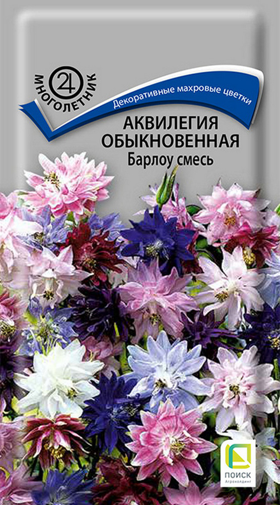 Аквилегия Барлоу смесь, 20 шт.