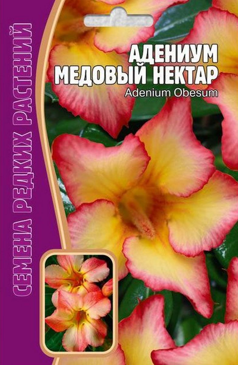 Адениум Медовый Нектар, 3 шт. Редкие семена.