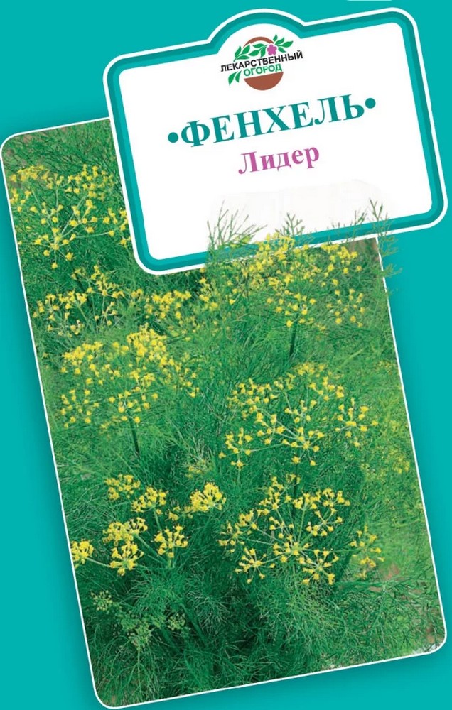 Фенхель обыкновенный Лидер, 0,5 г. Лекарственная.