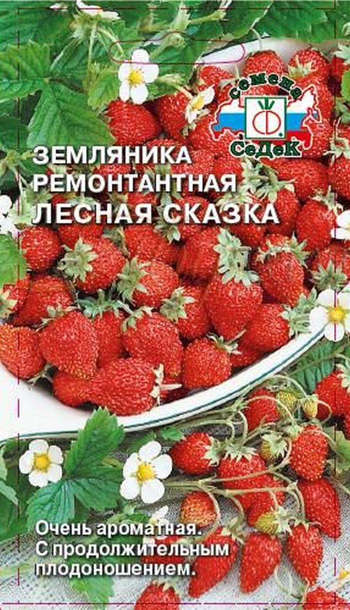 Земляника ремонтантная Лесная сказка, 0,04 г