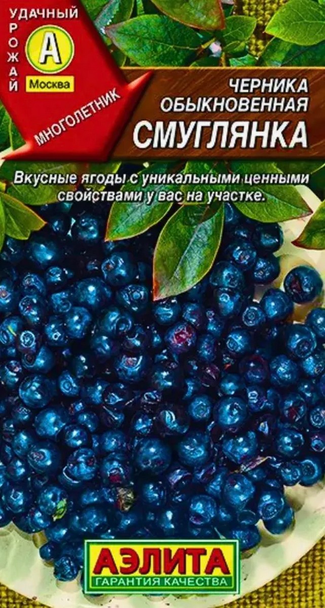 Черника обыкновенная Смуглянка, 0,01 г