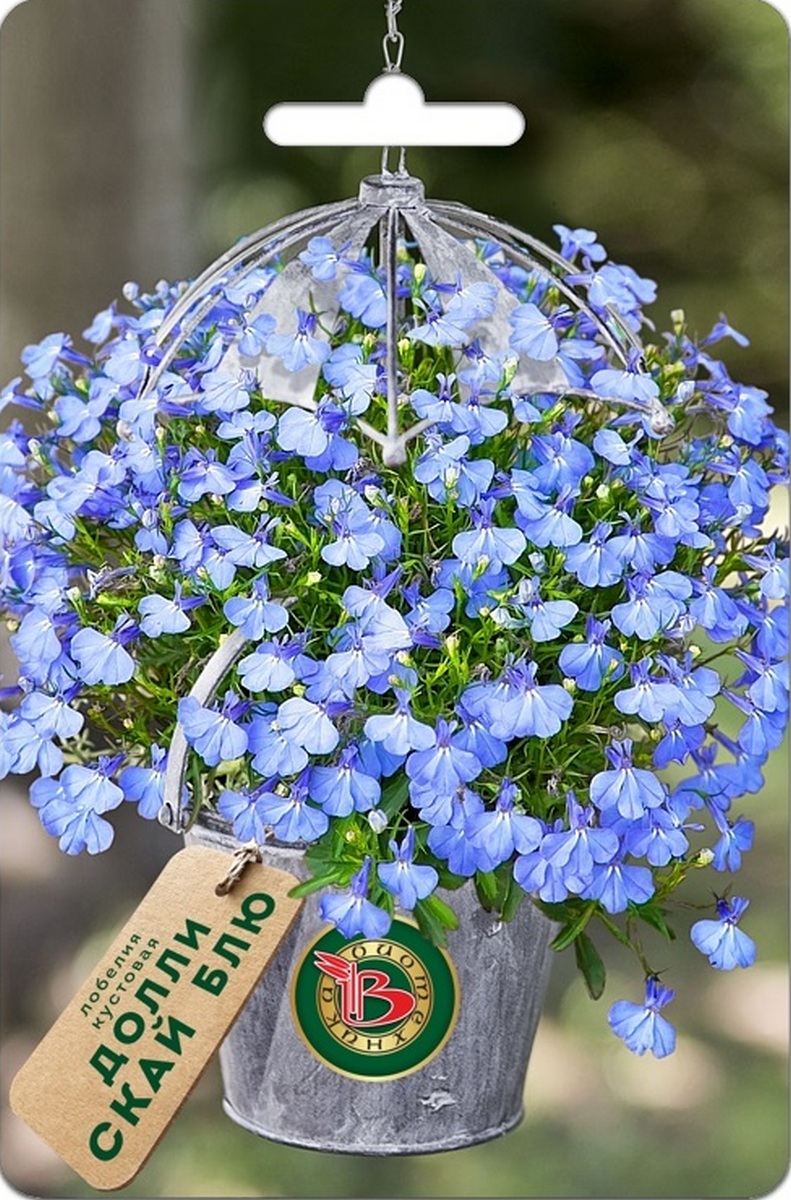 Лобелия кустовая Долли Скай Блю, 10 шт. Биотехника
