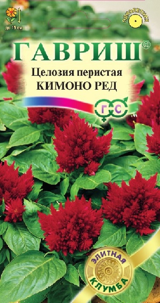 Целозия Кимоно Ред перистая, 8 шт. Элитная клумба. Саката.