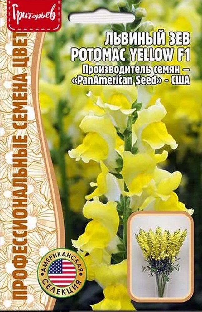 Львиный Зев Potomac Yellow F1, 5 шт.