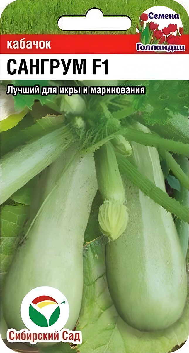 Кабачок Сангрум F1, 5 шт. Голландия. Сибирский сад.