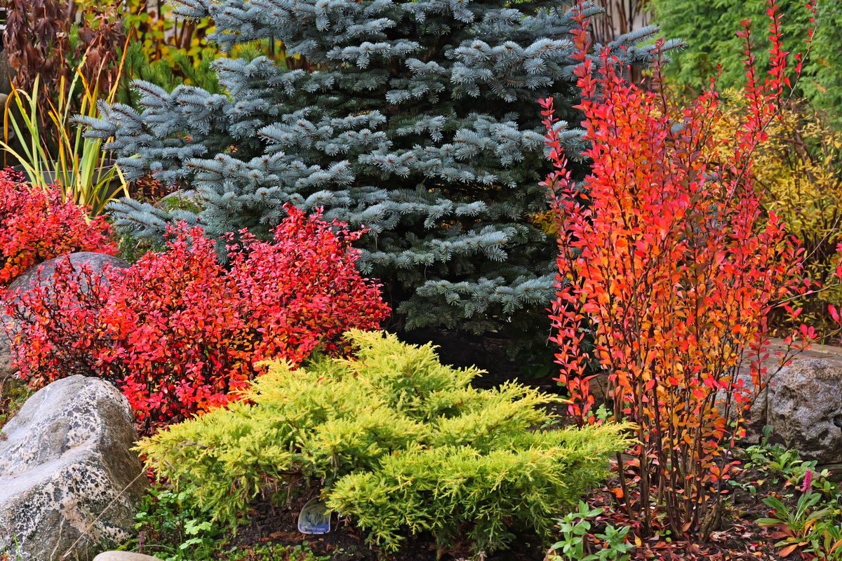 Уход за растениями на участке
