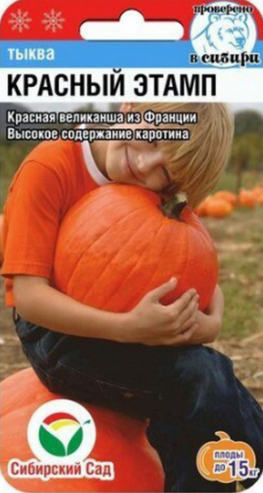 Тыква Красный Этамп, 5 шт. Сибирский сад