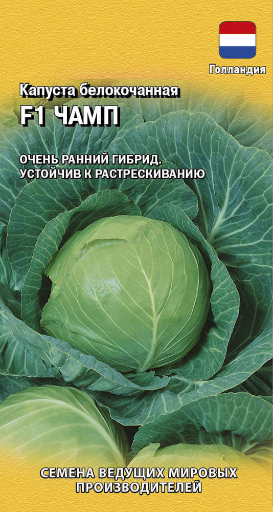Капуста белокочанная Чамп F1, 10 шт. Голландия.