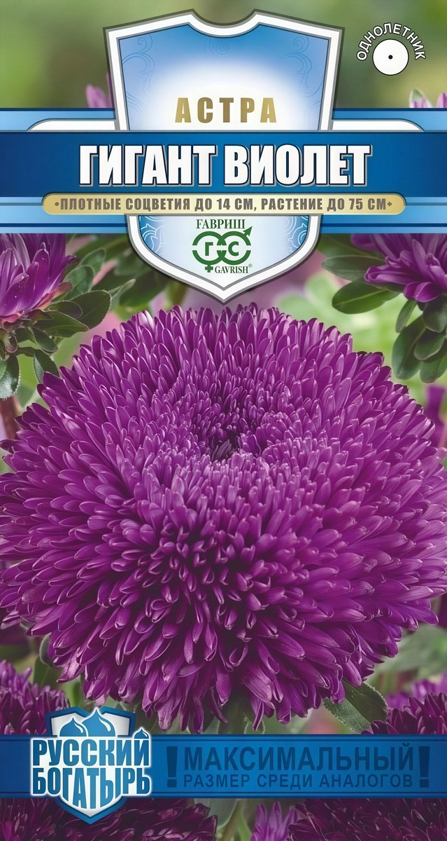 Астра Гигант виолет, 0,05 г. Русский богатырь 