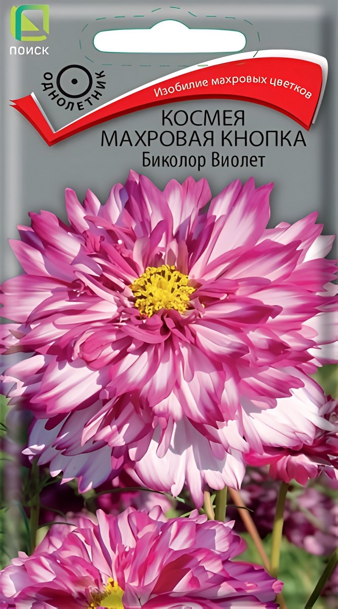 Космея Махровая кнопка Биколор Виолет, 0,1 г