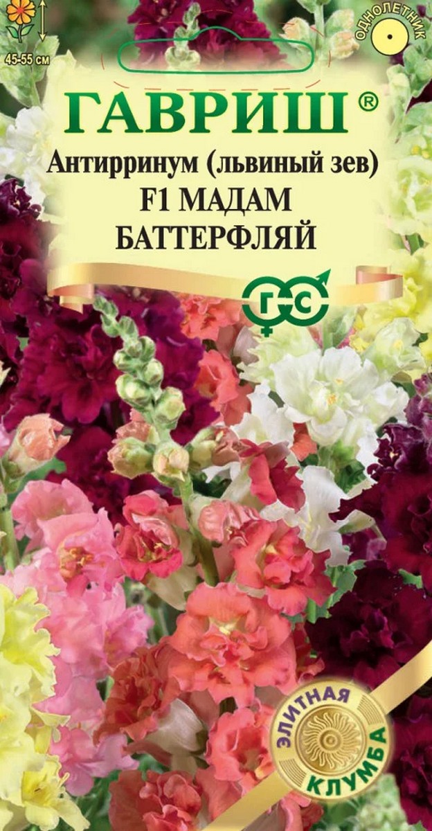 Антирринум, Львиный зев, Мадам Баттерфляй, 7 шт. Элитная клумба 