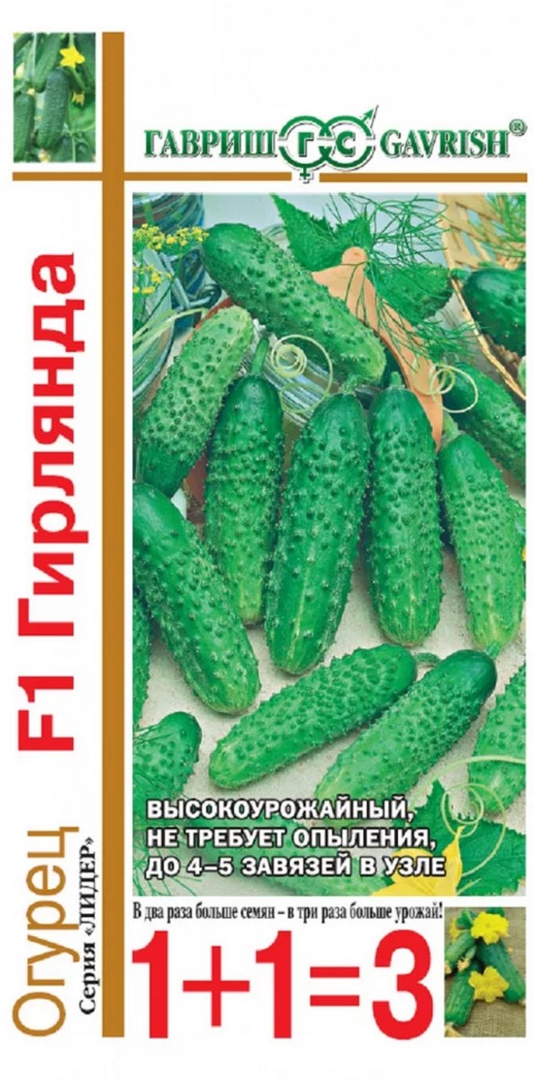 Огурец Гирлянда F1 1+1, 20 шт. Семена от автора.