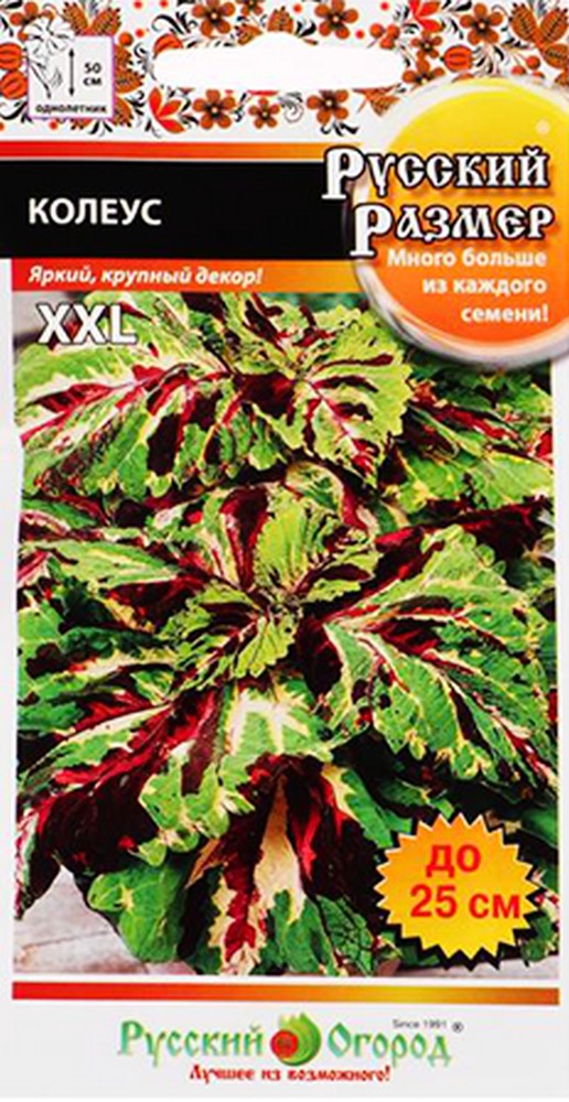 Колеус Русский размер, 4 шт. Русский огород