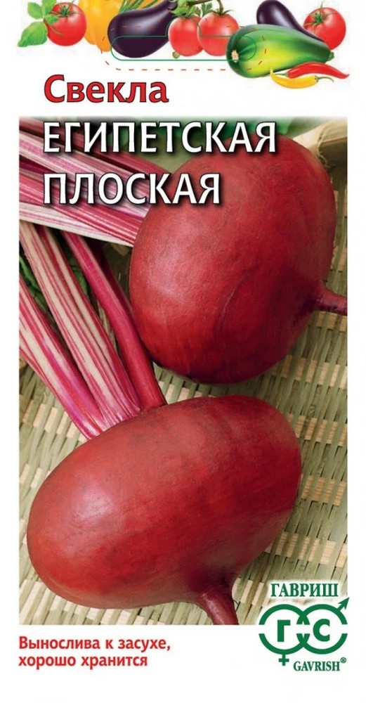 Свекла Египетская плоская, 3 г. Огород без хлопот.
