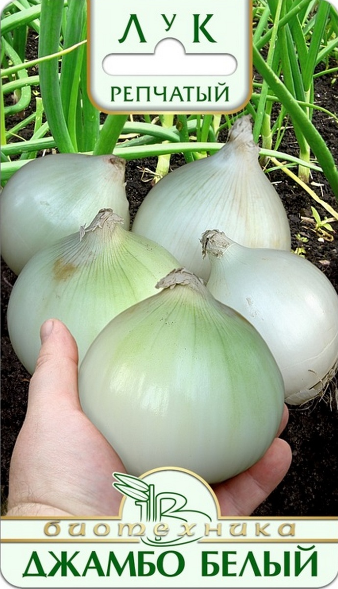 Лук репчатый Джамбо Белый, 0,5 г Биотехника