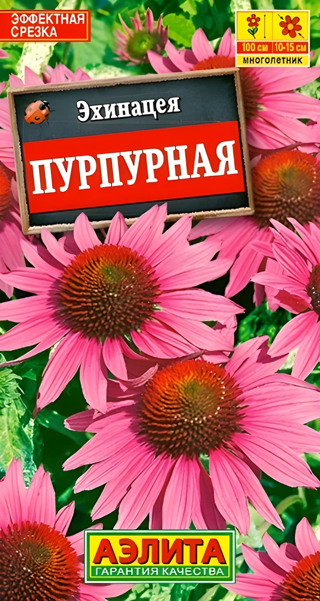 Эхинацея Пурпурная, Рудбекия пурпурная, 0,2 г