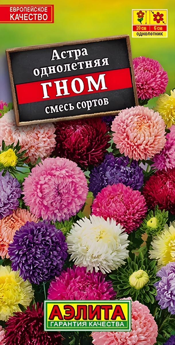 Астра Гном смесь окрасок, 0,2 г