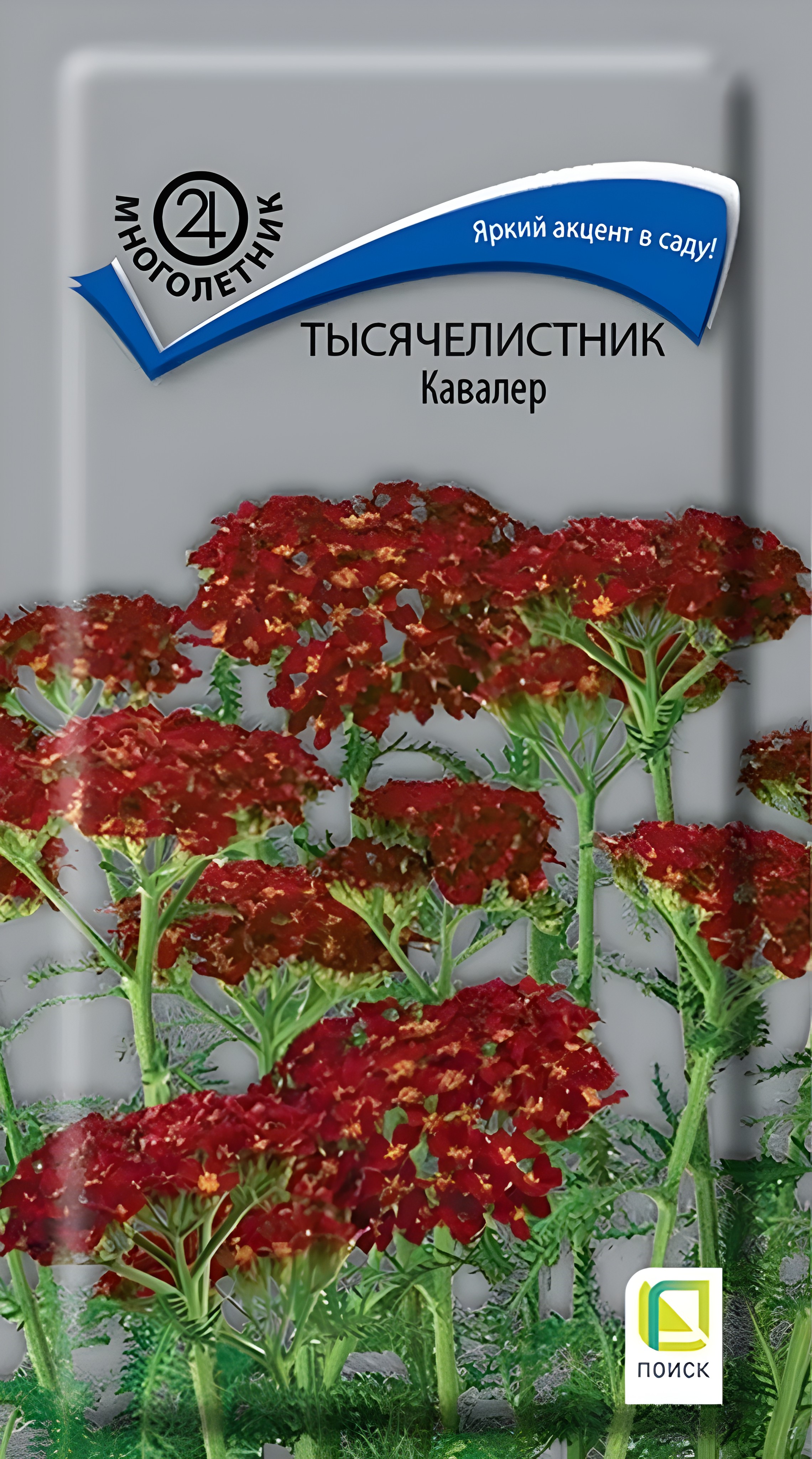 Тысячелистник Кавалер, 0,1 г