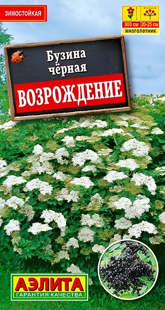 Бузина черная Возрождение, 0,5 г